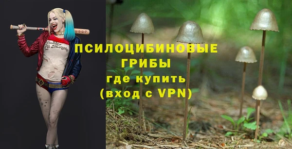 наркотики Богданович