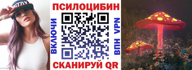 продажа наркотиков  Беломорск  Псилоцибиновые грибы мухоморы 