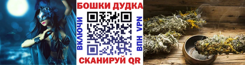 магазин продажи наркотиков  Беломорск  Марихуана SATIVA & INDICA 